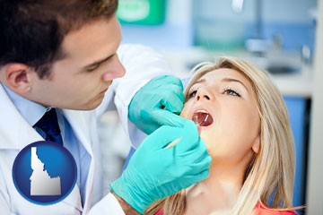 a dentist examining teeth - with Idaho icon